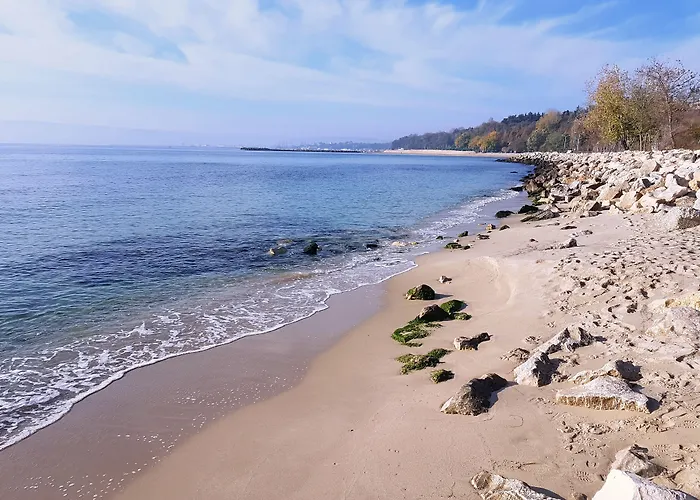 Hotel Divesta - Self Check In 3*